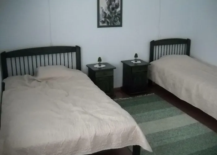 Saaremaee Gostinjska kuća Otepaa